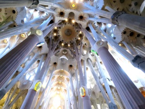 Gaudi designed these columns to resemble trees. Wasn't he clever? 